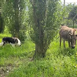 Cerqua Rosara * Valtopina