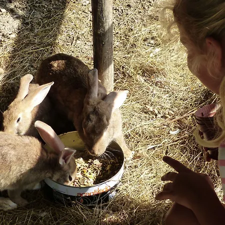 Cerqua Rosara Nyaraló Valtopina