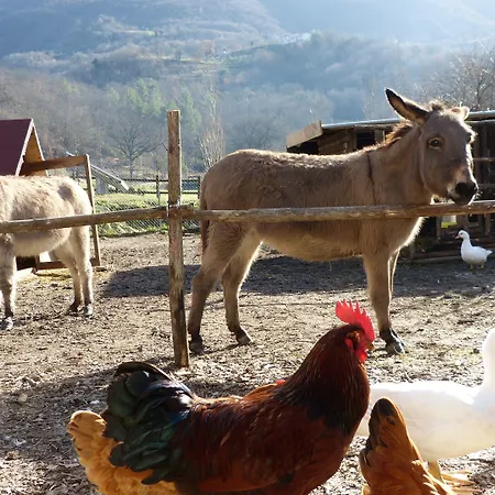Cerqua Rosara Valtopina