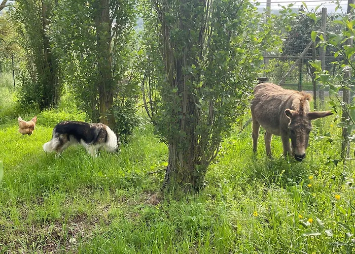 Cerqua Rosara * Valtopina