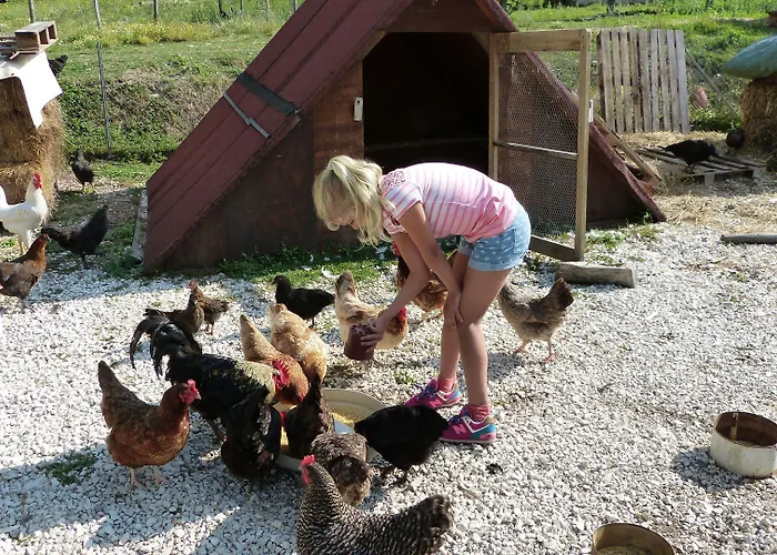 Cerqua Rosara Holiday home