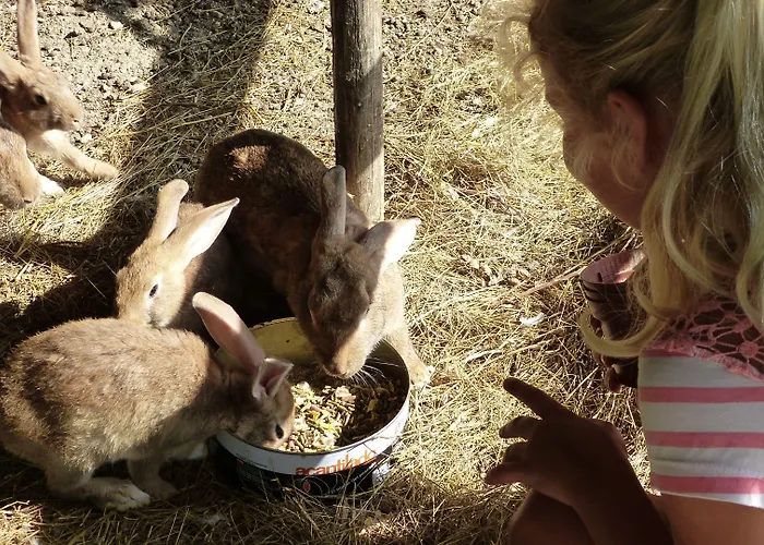 Cerqua Rosara Dom wakacyjny Valtopina