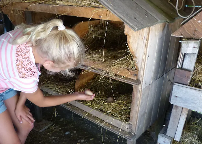 Holiday home Cerqua Rosara Valtopina